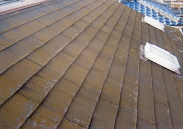 高圧洗浄前の屋根の状態